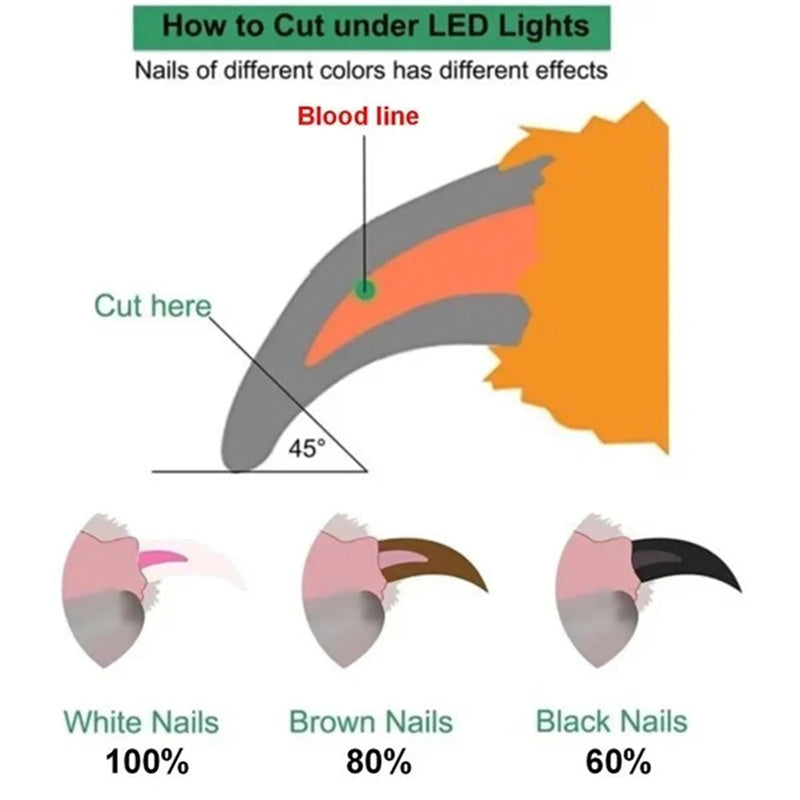 Pet Nail Clippers with LED Light – Professional Trimmer | Pawvitashop