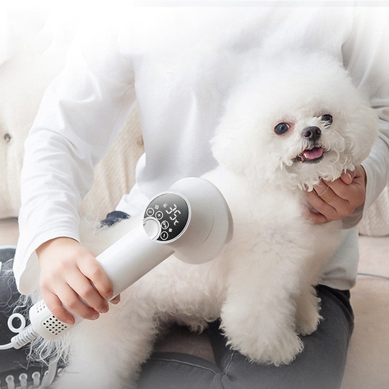 Smart Silent Pet Hair Dryer & Comb for Dogs & Cats | Pawvitashop