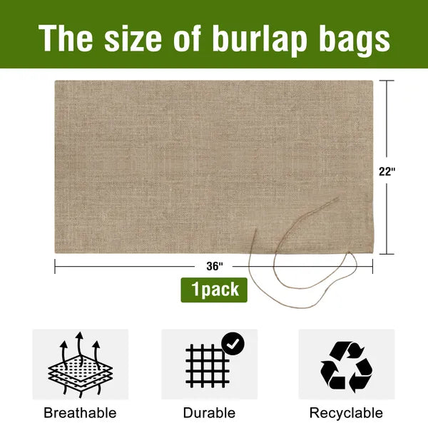 Jute Food Storage Bag with Drawstring – Eco-Friendly Sack | Pawvitashop
